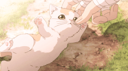 Cat Kingdom Discord Server Banner