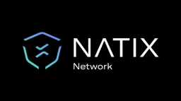NATIX Network Discord Server Banner