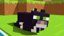 Soylu Network #PvP Discord Server Banner