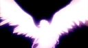 pink paradise Discord Server Banner