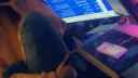 Someone's Discord Server Banner