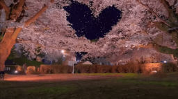 Social World ⋄ guild tags ⋄ emotes ⋄ giveaways ⋄ nitro ⋄ active ⋄ friends ⋄ vc ⋄ chill ⋄ hangout Discord Server Banner