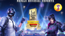 PPJ ESPORTS 🇮🇳 Discord Server Banner