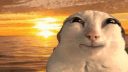 spicysushi Discord Server Banner