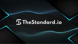 TheStandard.io Discord Server Banner