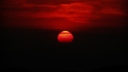 Bloody Pitchfork Games Discord Server Banner