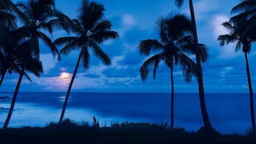 Chill Tavern Discord Server Banner