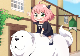 Aniheaven Discord Server Banner
