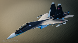 Codename Flanker Discord Server Banner