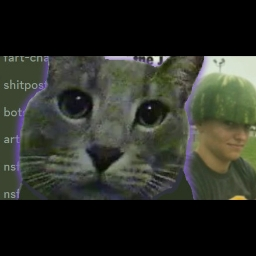 Bopcord Discord Server Banner