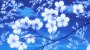 NiNDO ❖ Discord Server Banner