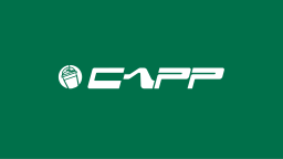 Capp n' ccino Discord Server Banner