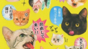✧　🍑　∬　saesori Discord Server Banner