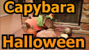 Capyhub Discord Server Banner
