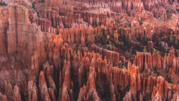 Plonk It Discord Server Banner