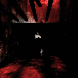 Dismay Studio Discord Server Banner