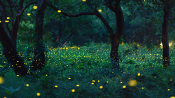 Kai's Haven Discord Server Banner