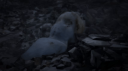 𝐏𝐀𝐍𝐄𝐌 Discord Server Banner