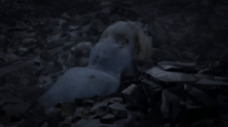 𝐏𝐀𝐍𝐄𝐌 Discord Server Banner