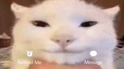 japorzko Discord Server Banner