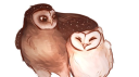 ⍣ 𝑃𝑎𝑟𝑙𝑖𝑎𝑚𝑒𝑛𝑡 ⍣ Discord Server Banner