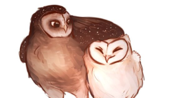 ⍣ 𝑃𝑎𝑟𝑙𝑖𝑎𝑚𝑒𝑛𝑡 ⍣ Discord Server Banner