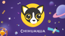 Chihuahua Discord Server Banner