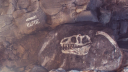 HapticRush Discord Server Banner