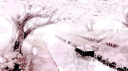 𔒌 Discord Server Banner