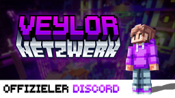 Veylor.NET × Discord Discord Server Banner