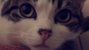 Group HQ Discord Server Banner