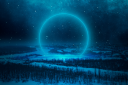 The Evolving Forest Discord Server Banner