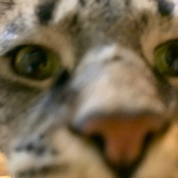 Spiral's Dev Hub Discord Server Banner