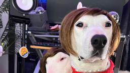 Mister Mainer (Pookie’s Server) Discord Server Banner