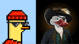 The Ducks Discord Server Banner