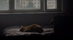 Luarmor 👑 Discord Server Banner