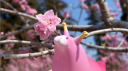 myplasticheart Discord Server Banner