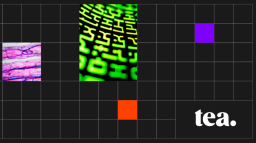 tea Discord Server Banner