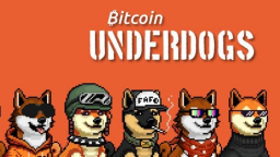 BTC UNDERDOGS Discord Server Banner