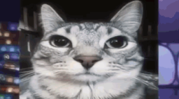 THE HOUSE OF FLIES Discord Server Banner