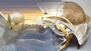 Sur la trace de la Chouette d'Or® Discord Server Banner