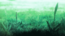 iced 🧊 goated Discord Server Banner