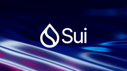 Sui Discord Server Banner