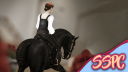 Star Stable Photography Center Discord Server Banner