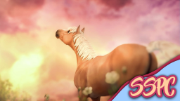 Star Stable Photography Center Discord Server Banner