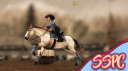 Star Stable Photography Center Discord Server Banner