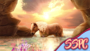Star Stable Photography Center Discord Server Banner