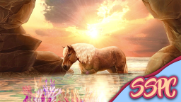 Star Stable Photography Center Discord Server Banner