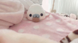 >< Discord Server Banner