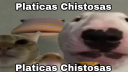 Platicas Chistosas Jaja K Cagado Discord Server Banner